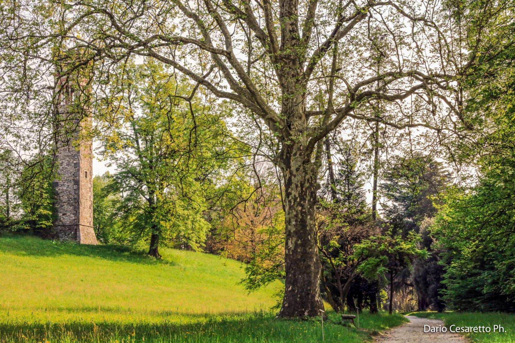 Villa Cagnola Schianno 외부 사진